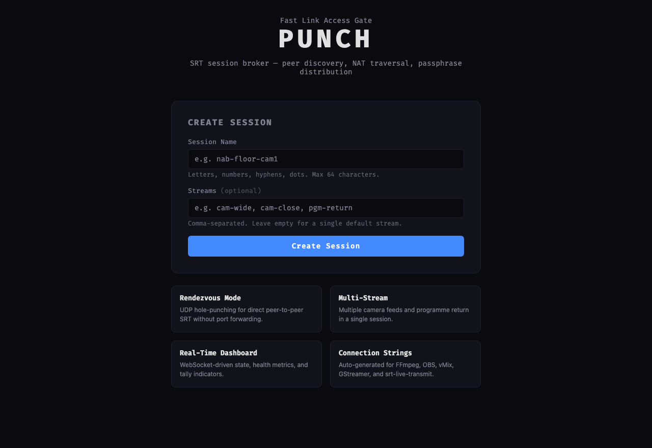 Punch landing page